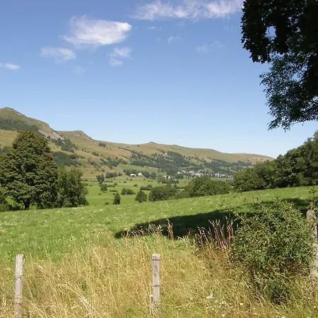 Bois Avec Privatif *