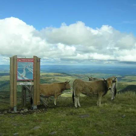 Casa vacanze Bois Avec Privatif Mauriac (Cantal)